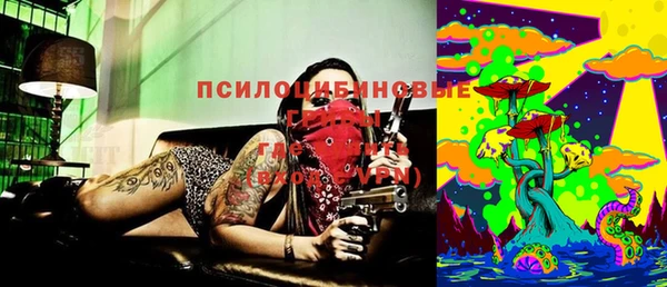 ГАЛЛЮЦИНОГЕННЫЕ ГРИБЫ Лихославль