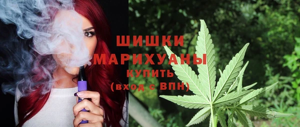 ГАЛЛЮЦИНОГЕННЫЕ ГРИБЫ Лихославль