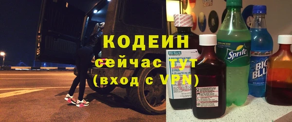 ГАЛЛЮЦИНОГЕННЫЕ ГРИБЫ Лихославль