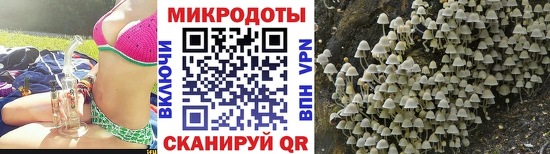 как найти наркотики Обнинск гидра зеркало Галлюциногенные грибы прущие грибы