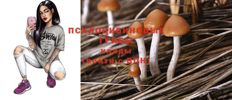 Галлюциногенные грибы MAGIC MUSHROOMS  Обнинск 